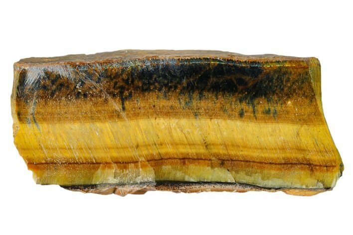 Polished Tiger's Eye Section - South Africa #148244
